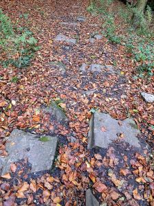 Stone sleepers which once carried the rails of the tramway