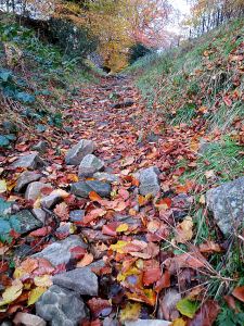 The path up to the open mountain