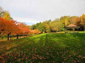 The bandstand an avenue of ornamental cheery trees in the local park