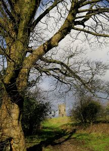 Coming to the Folly Tower