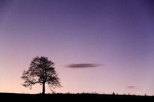 .......... and zooming in