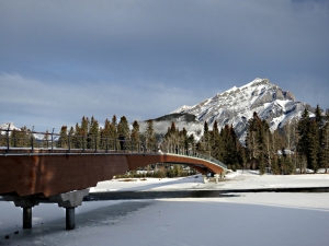 The new wooden pedestrian bridge, completed last year