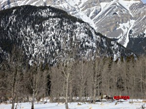 Horse-drawn sleigh offers rides to visitors