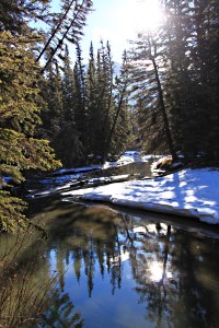 Reflective, placid water in the creek as the early winter ice melts