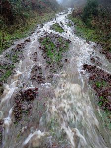 The path up to the open mountain.