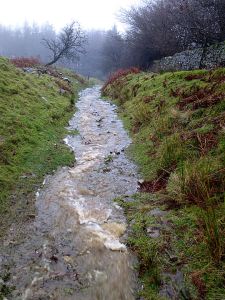 The path down to the Goose and Cuckoo off the mountain, normally dry even in wet weather