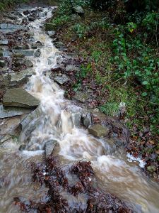 A miniature waterfall, once a path