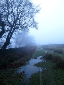 Standing water everywhere, here on the last section of path onto the open mountain