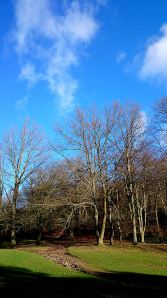 The water-eroded path from the park up to the ridge top under tempting blue sky