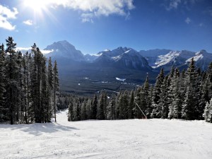 At a 'roll-over' where the ski run steepens suddenly and swoops down to the next level through snow-dusted trees