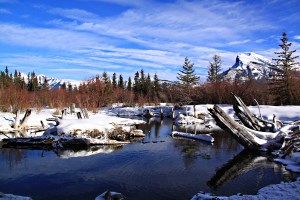 Spot the concentric ripples on the right, indicating something is going on