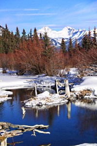 A small 'lagoon' of open water