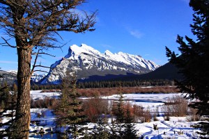 Looking across the 'lagoon' and the frozen lake from the lakeside drive