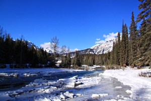 Jaggedbroken-up ice refreezes into the edge of the river