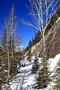 Looking downstream on the narrow river-side path