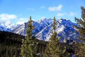 View from the top of the cliffs