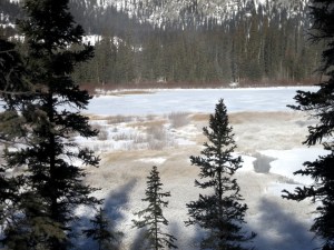 View of the marsh from one of the boardwalks, hazy through the steam, low vegetation turned white