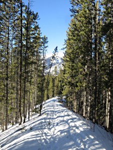 On narrow ridge dropping steeply to the right, almost vertically to cliffs into Sundance Canyon on the left