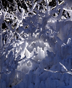 A hoar frost grotto