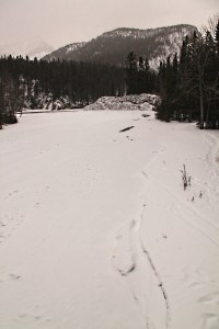 Looking along the snow-covered ice over the Spray River