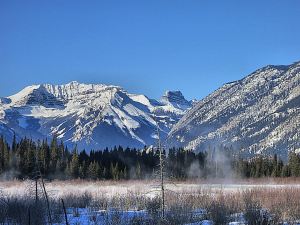 Minus 30 degrees, steam rising from the thermal spring as it reaches the marsh