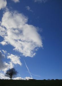 The last pull up to the ridge-top