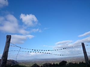 Looking across the Vale of Usk