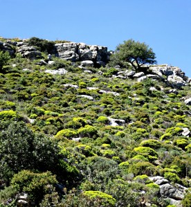 ... and up to the ridge