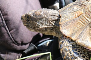 Taking a look at my rucksack