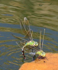 .... what's going on here?