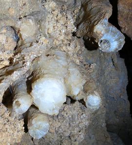 The stumps of broken-off stalactites take as trophies