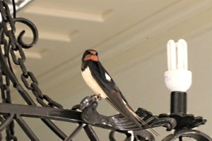 ... while another looks on