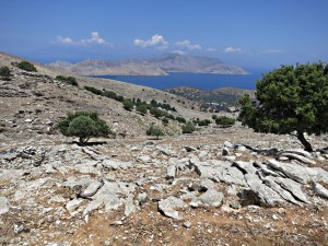 the landscape rocky and arid