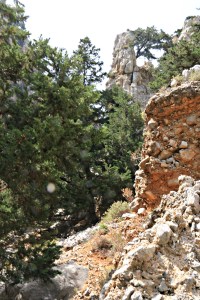Rock pinnacles and unconsolidated conglomerate, a strange mix