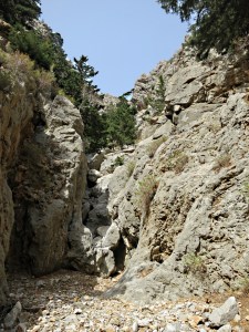 ... and almost immediately straight onto another