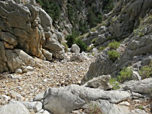In places the riverbed is like a broad path