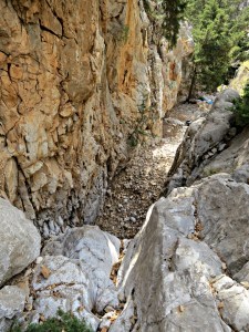 Looking down the same fall