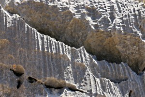 Scaloped edges can seriously damage your fingers