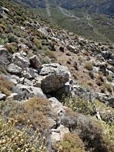 .... and then strikes out across large rocks 