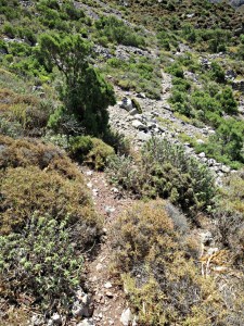 Narrow but easy to find and follow