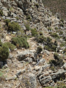 Need to look out for small cairns ot judge the direction of travel