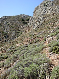 ..... winds up towards the foot of towering crags