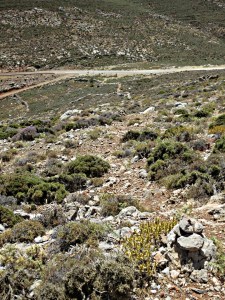Looking down to where the paths from Livadia and to Tholos intersect the tarmac in the col