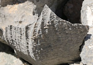 Typical of the 'razor limestone' along this section of ridge