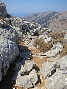 .... squeezes between large roaks