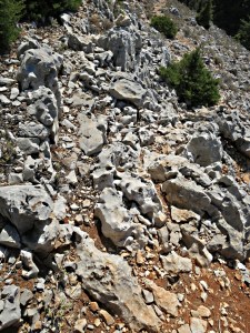 Pick a way through that lot!