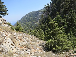 ..... then try and locate the path