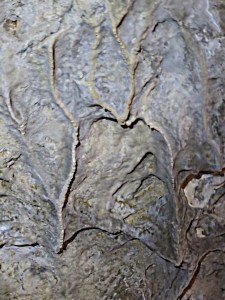 Calcite veining on the ceiling