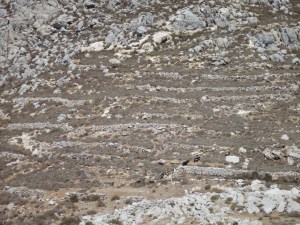 Old agricultural terraces marching up the mountianside