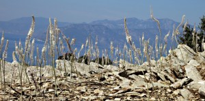 On the rocky knoll with Turkey in the background